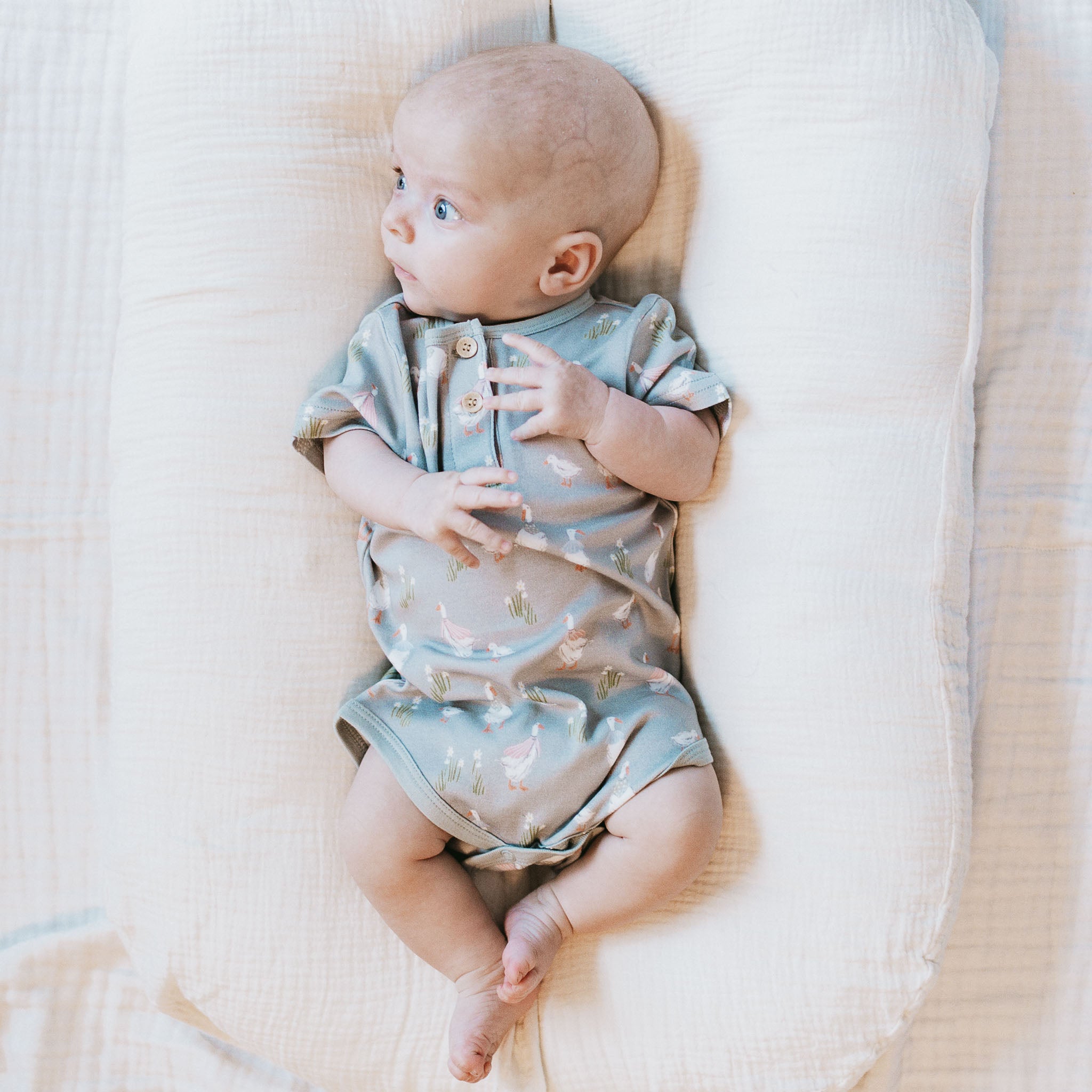 Organic Bodysuit - Goosey