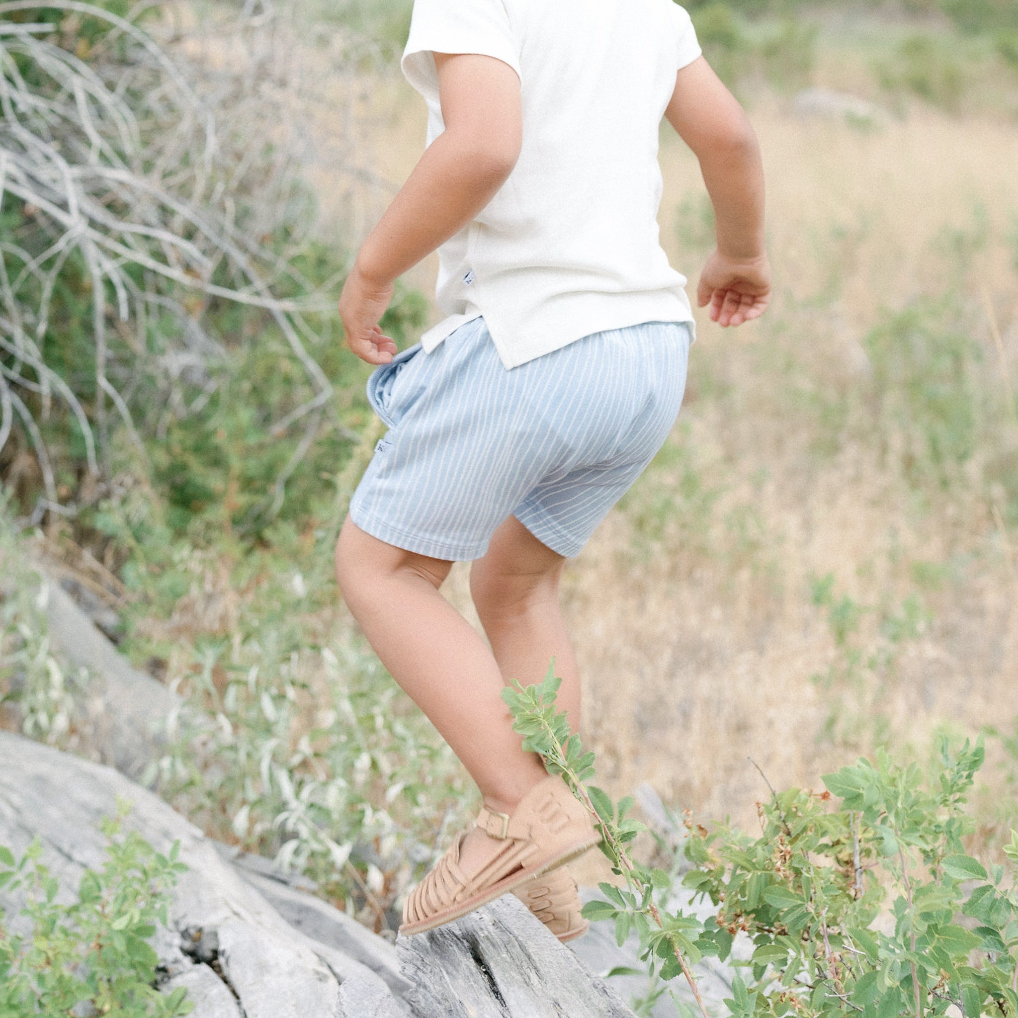 HalogenStripes-Shorts-Boy-02-1_b306c17a-9ef3-4680-8c39-11c3c7e438d9.jpg
