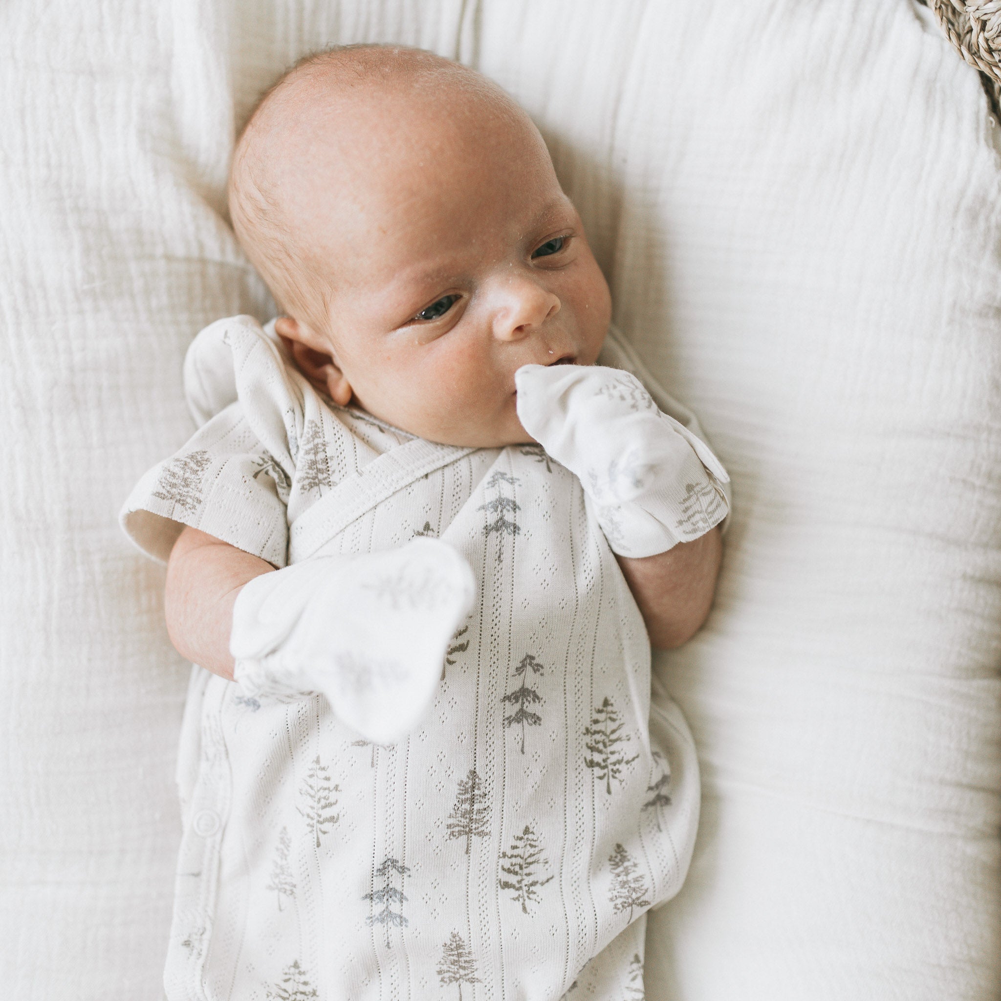 Pointelle Kimono - Frostree