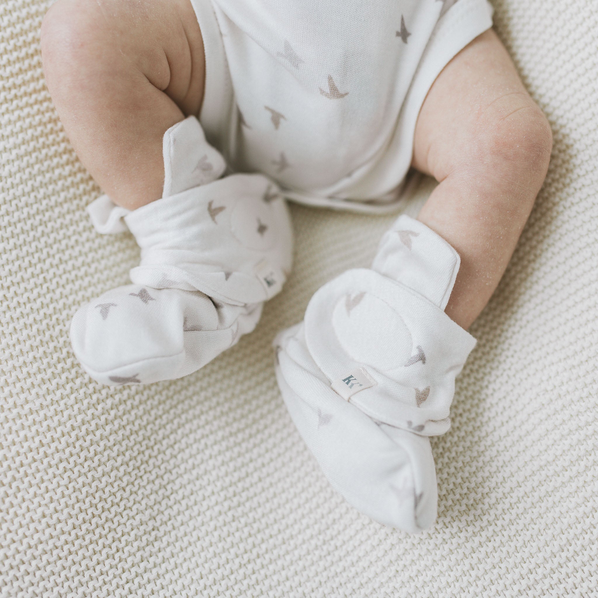 Mitts + Booties - Avian