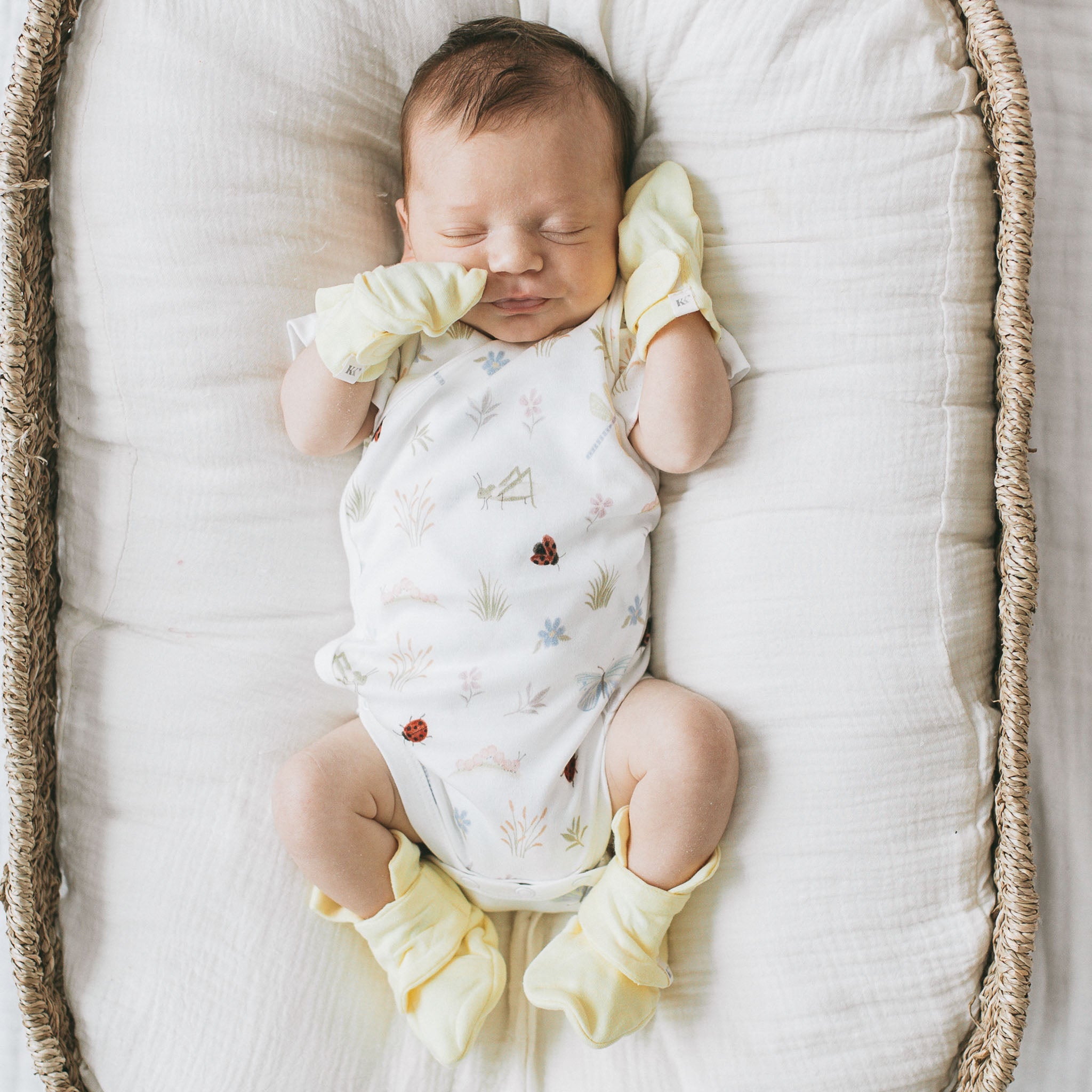 Mitts + Booties - Zest