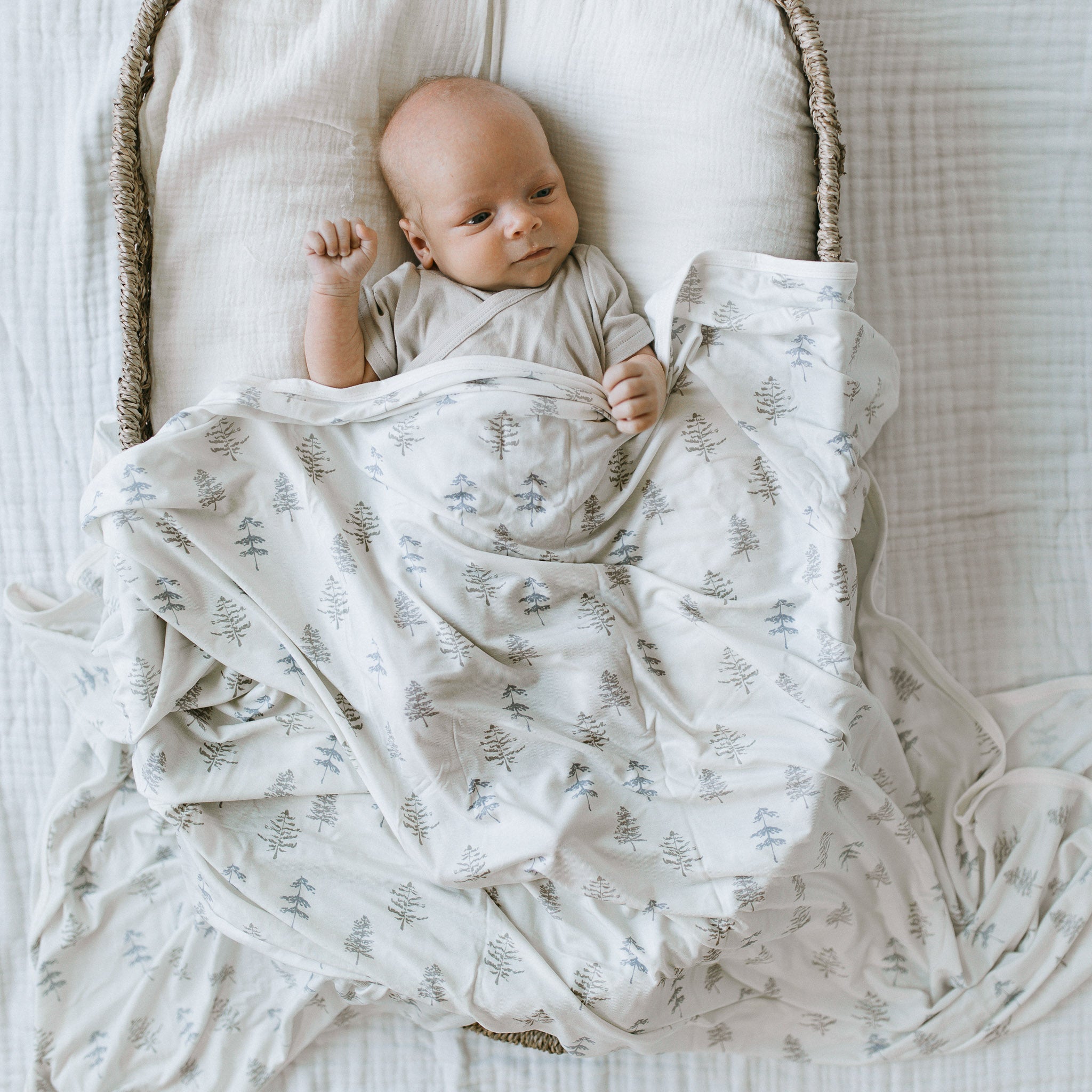 Bamboo Luxe Swaddle Set - Frostree