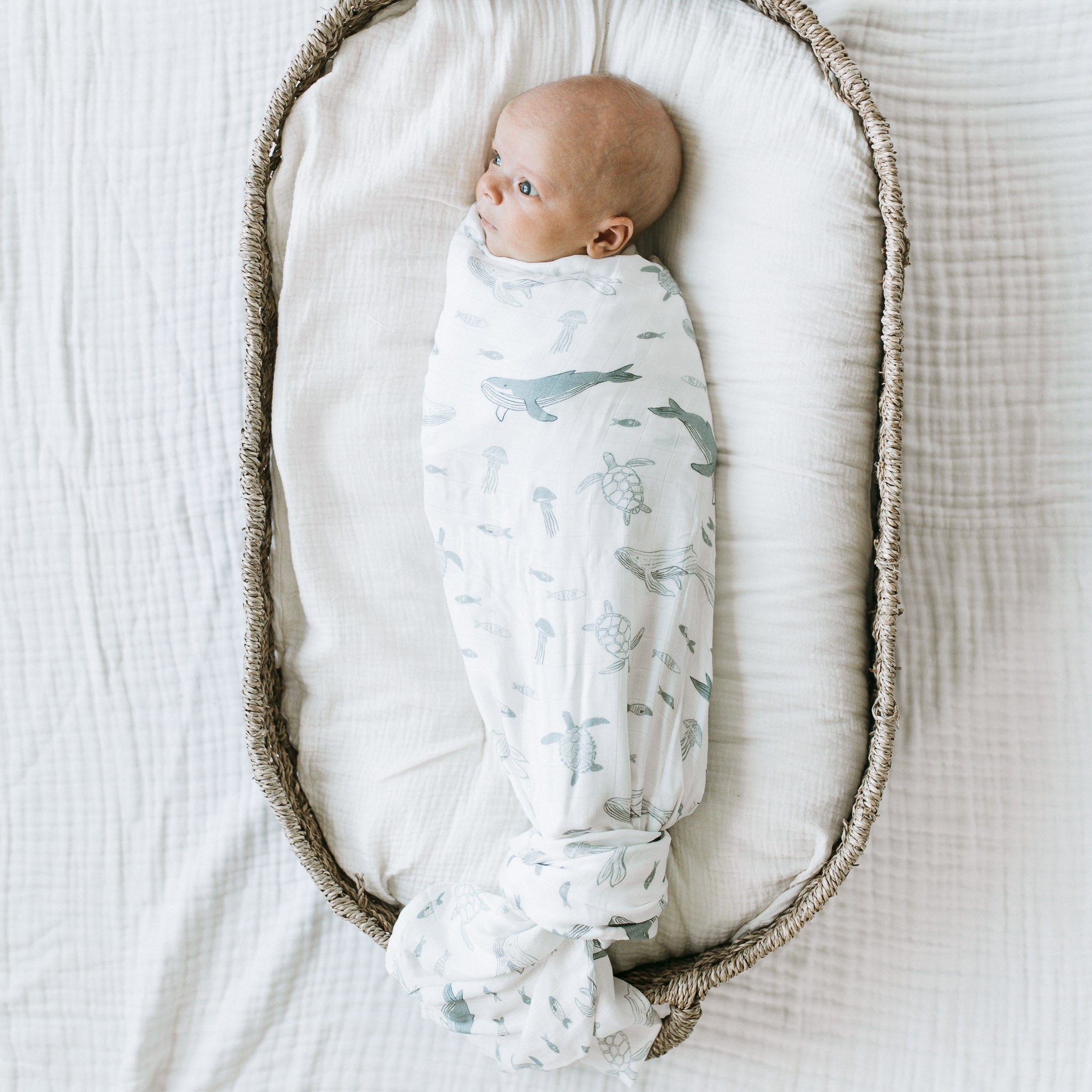 Bamboo Swaddle - Whale Song