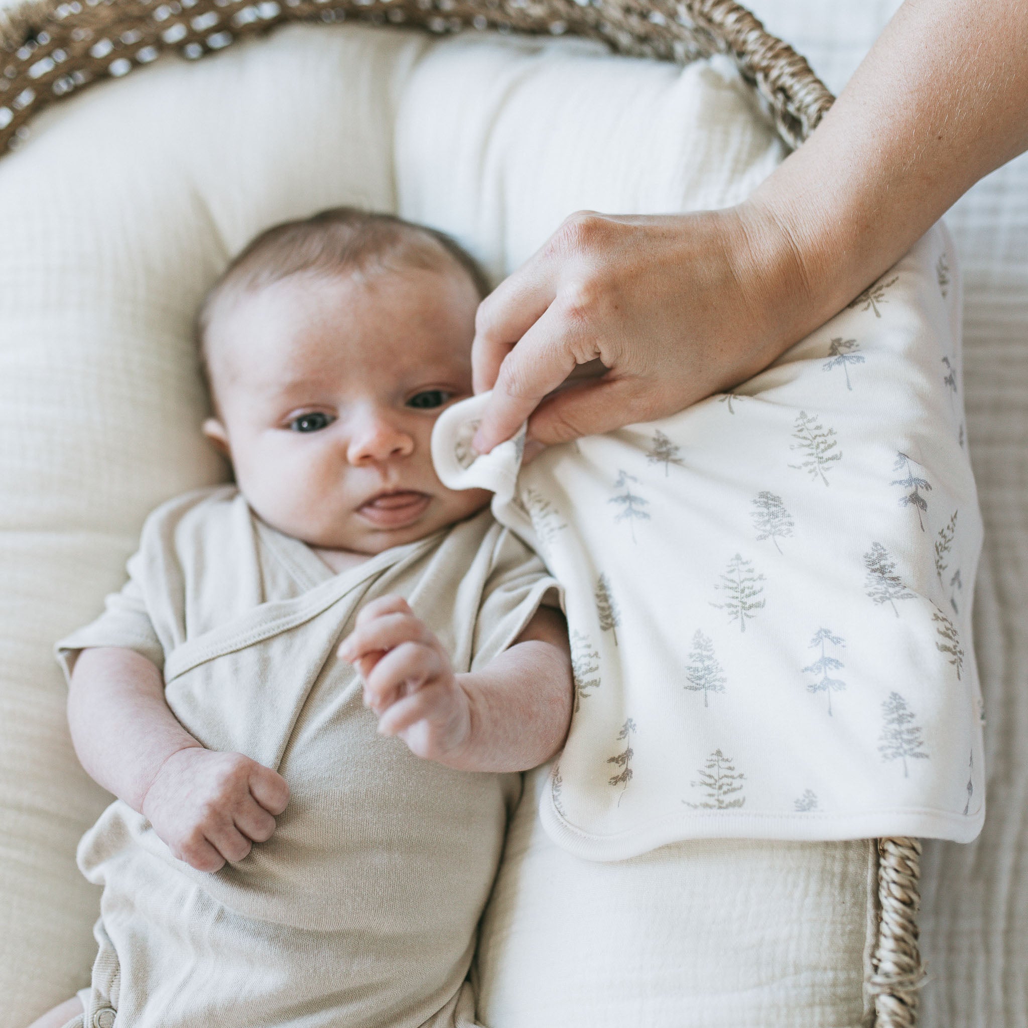 3-Pack Bamboo Washcloth-Enchanted Forest