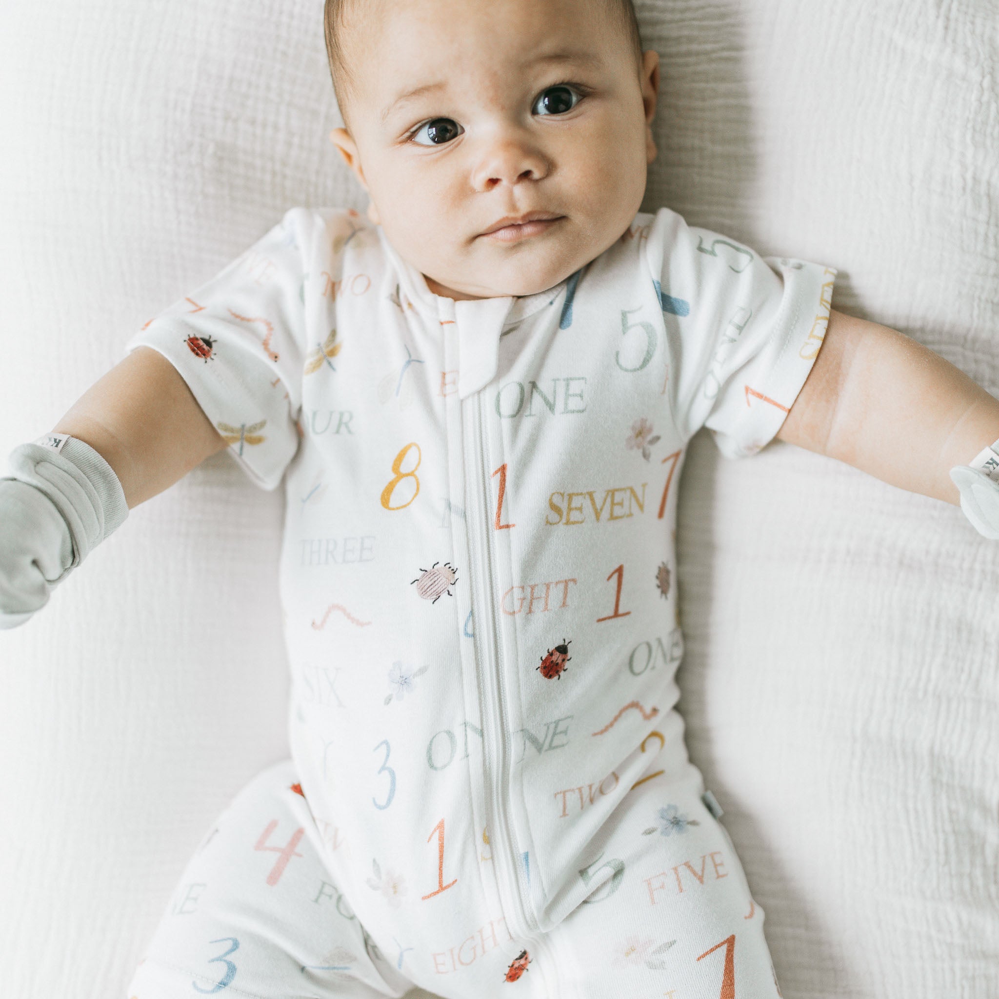 Zipsuit - Counting Critters