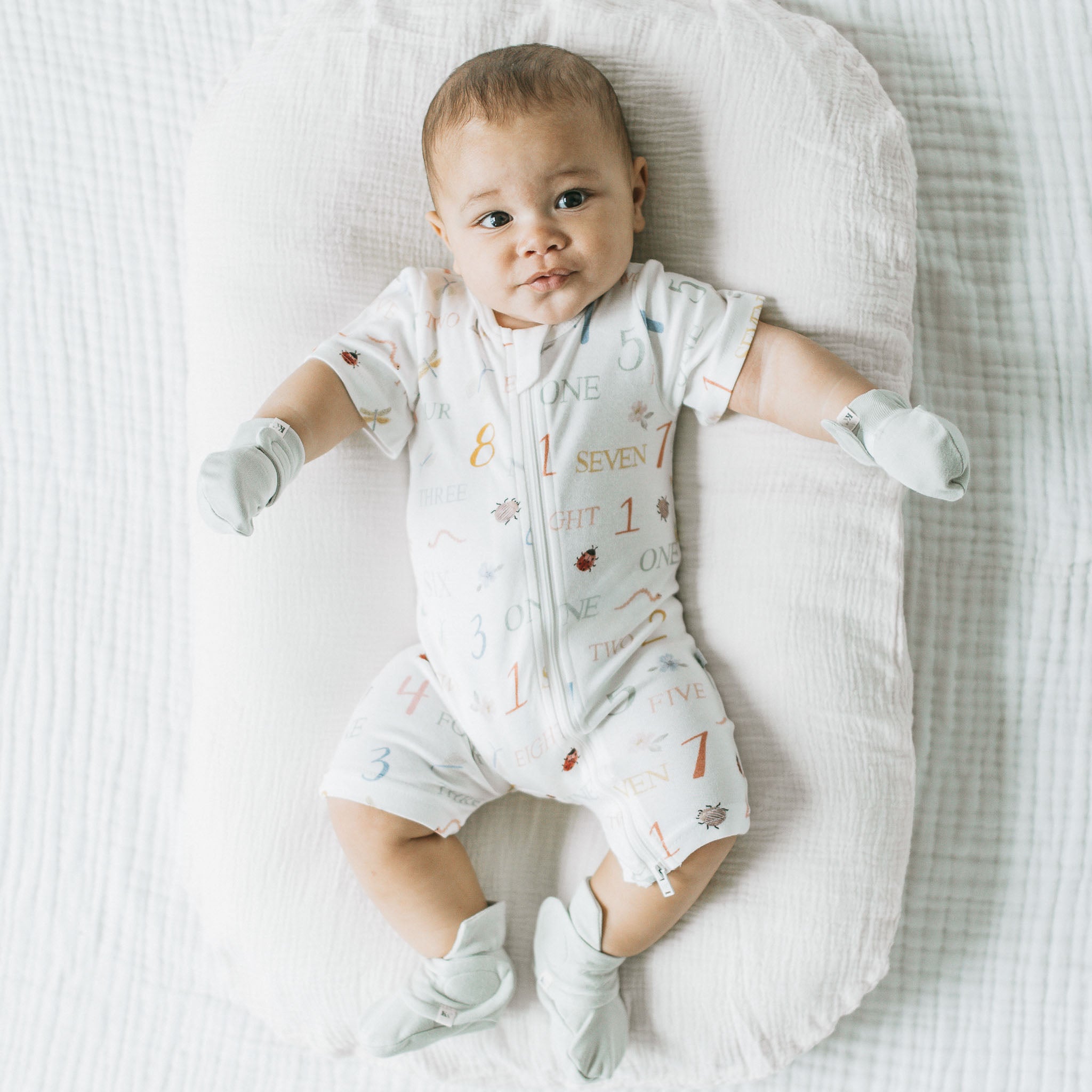 Zipsuit - Counting Critters