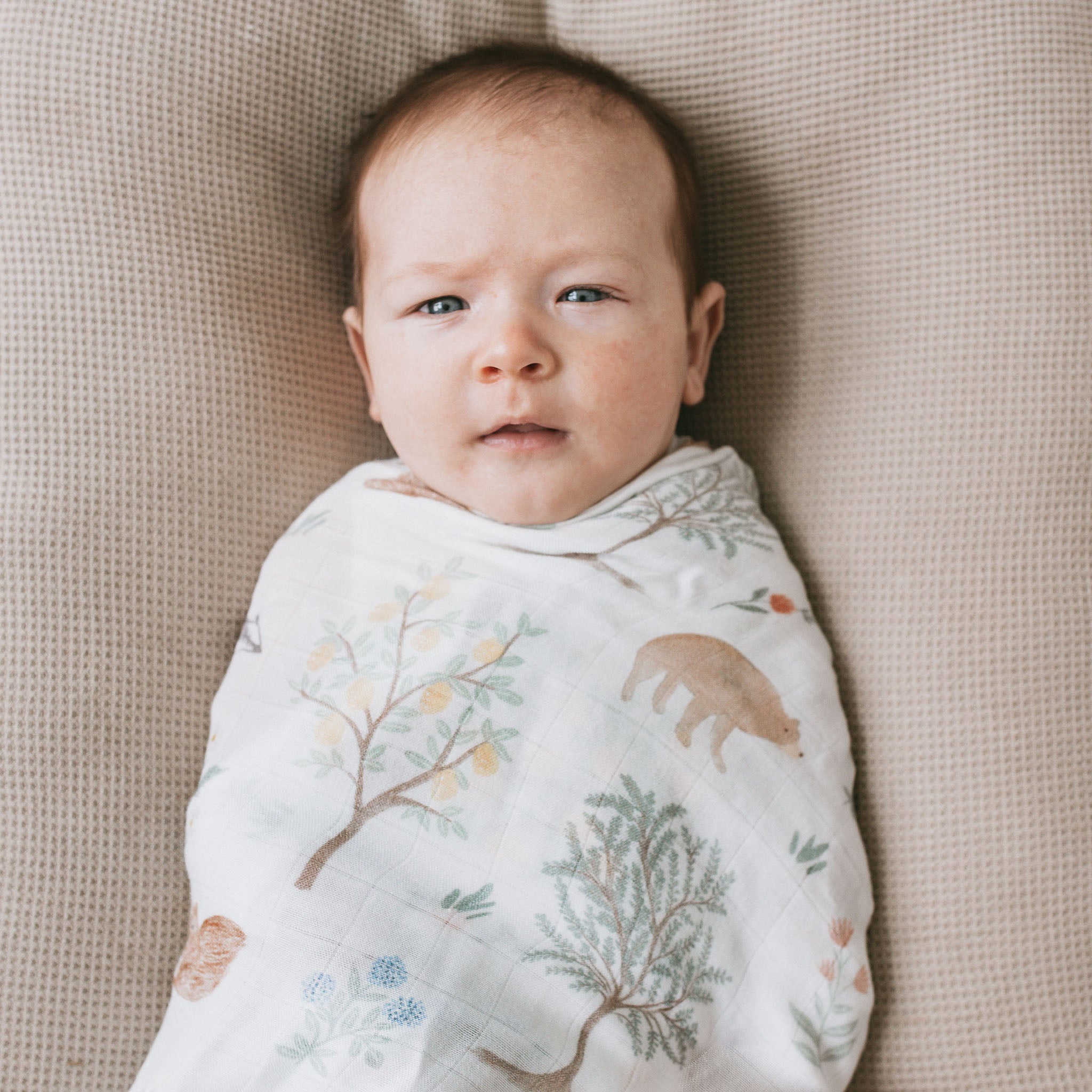 Bamboo Swaddle - Woodland Citrus