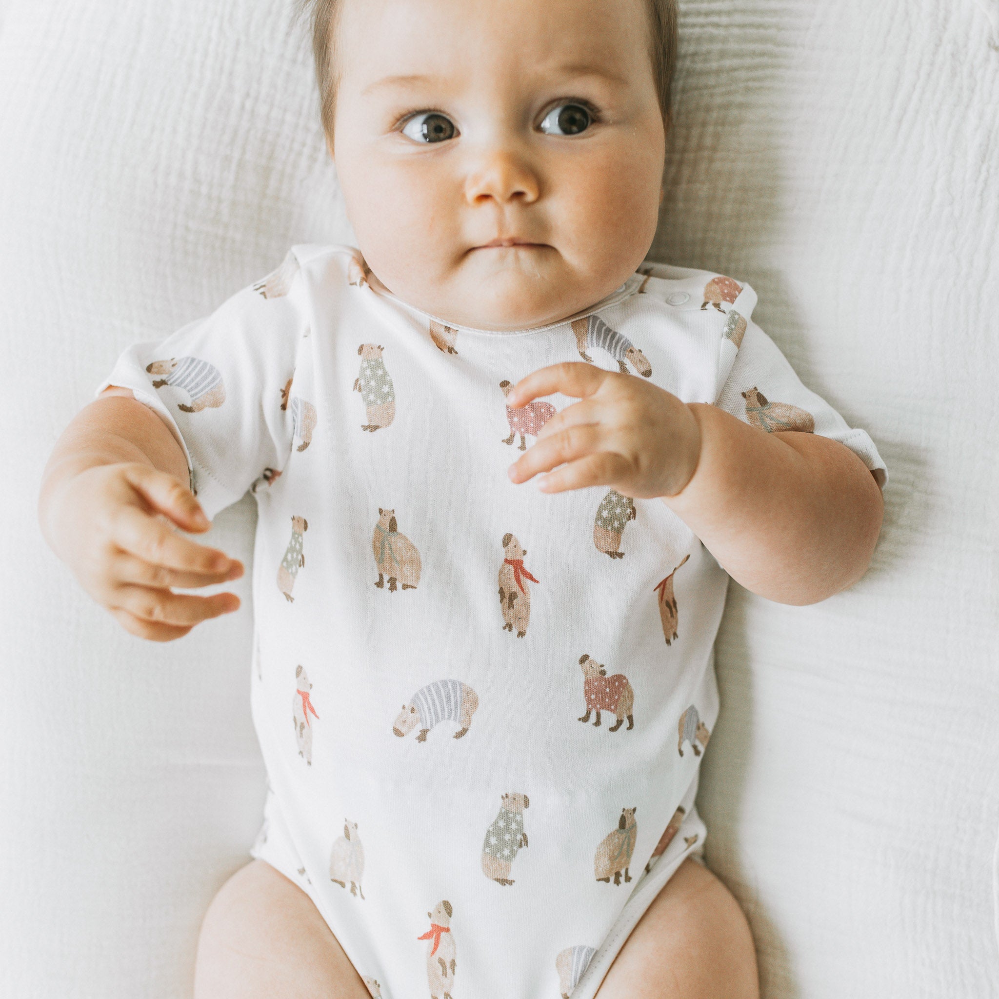 Short Sleeve Bodysuit - Capybara