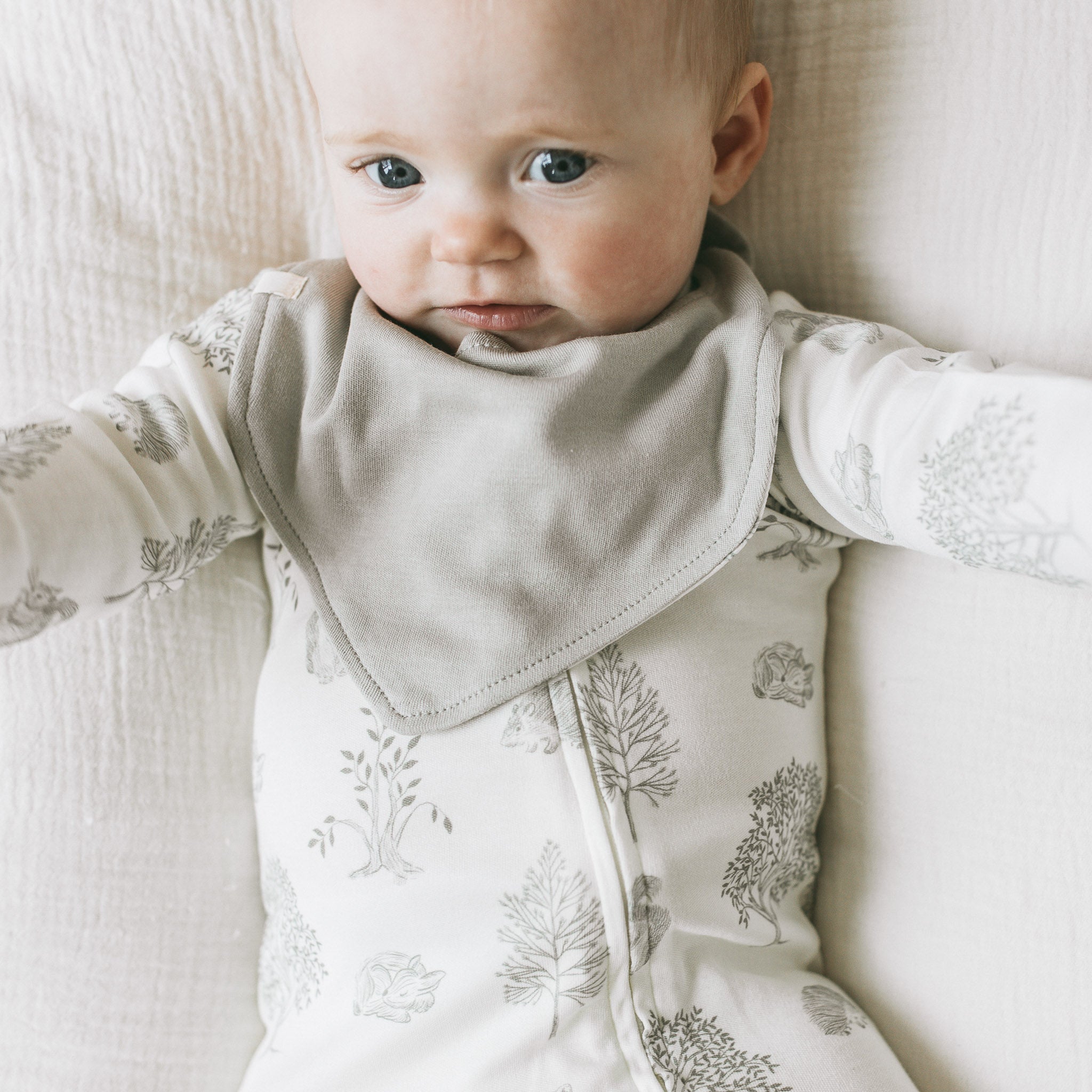 2 Pack Bandana Bib - Woodland