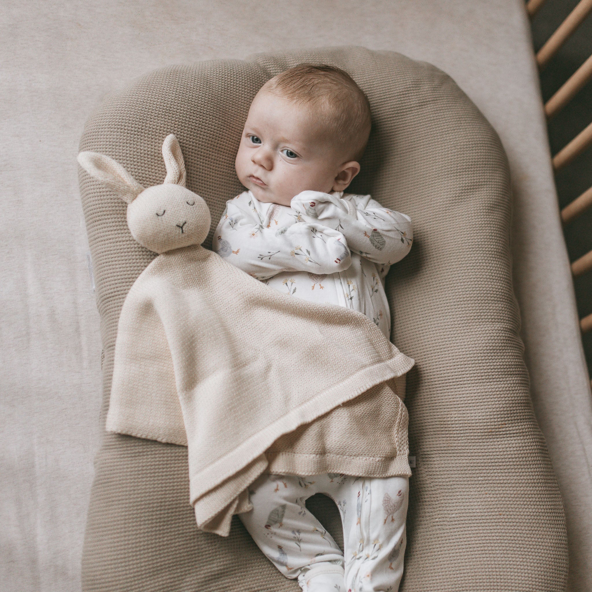Knit-Bunny.jpg