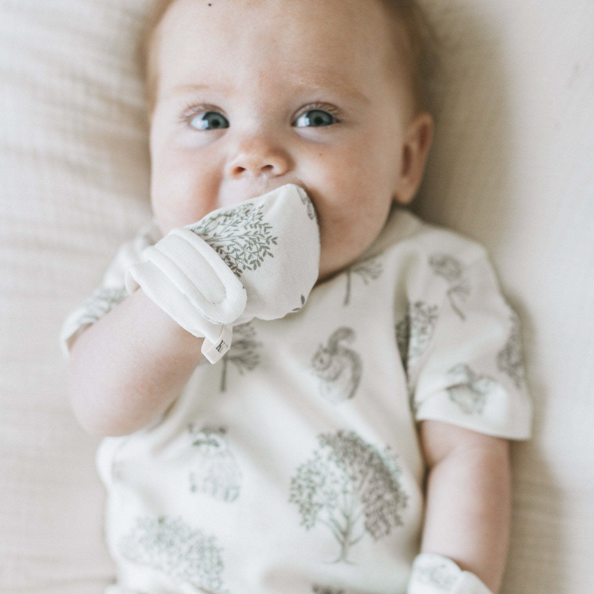 Mitts + Booties -  Woodland