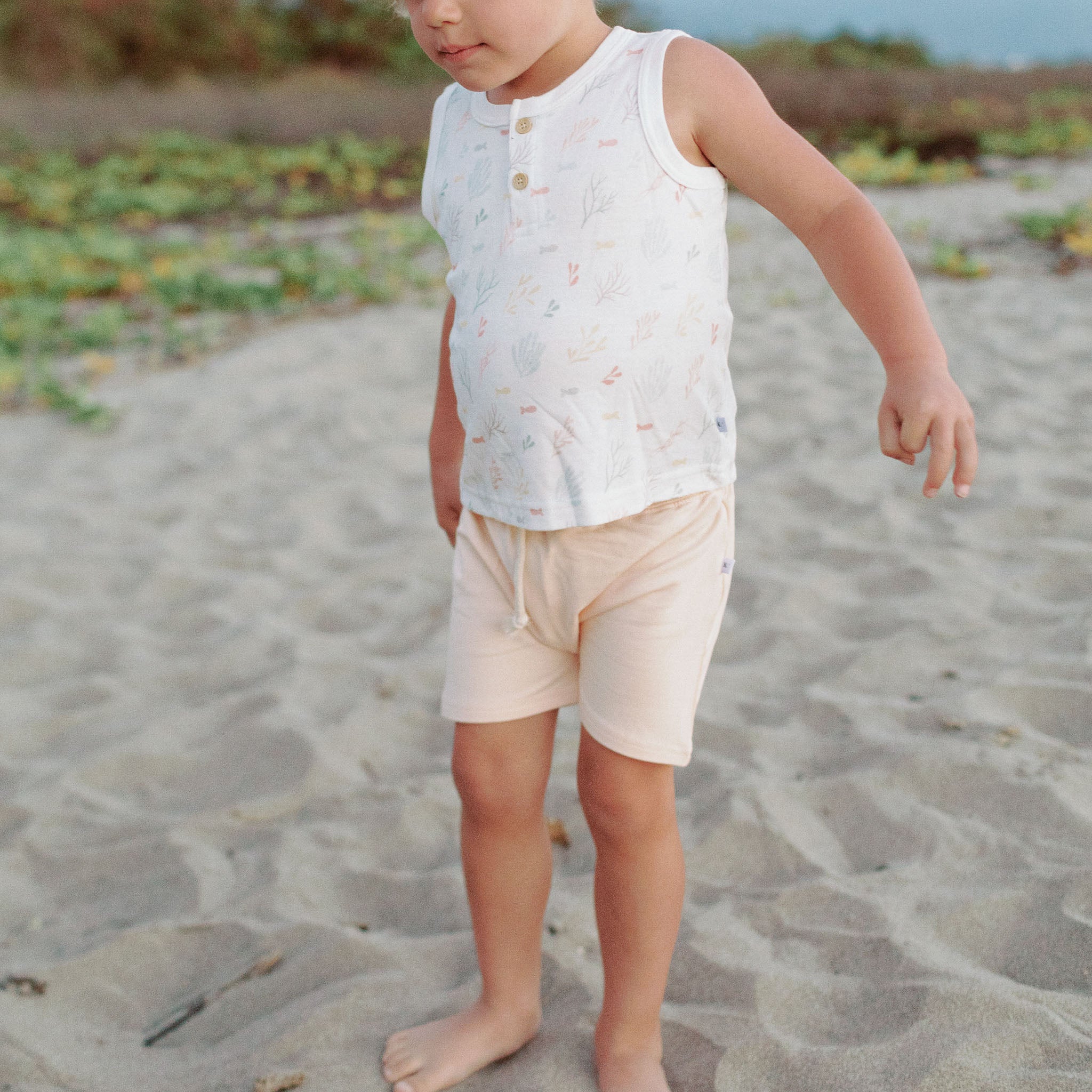 SHORTS-coralmist.jpg