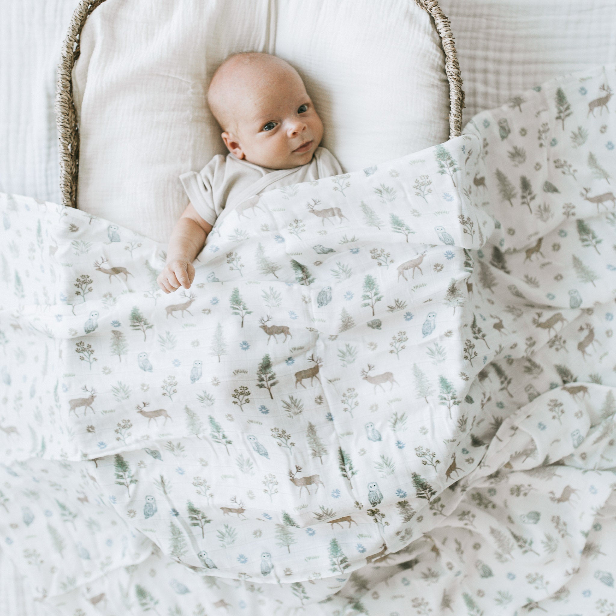 Bamboo Swaddle - Whimsical Forest