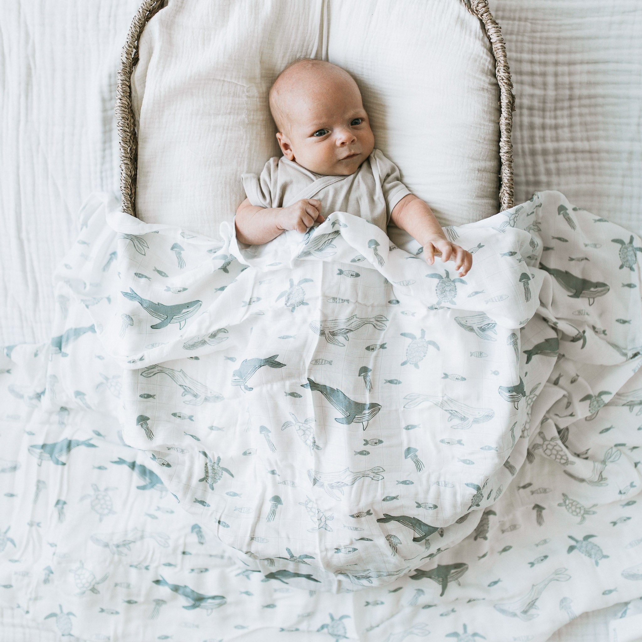 Bamboo Swaddle - Whale Song