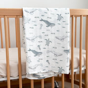 Bamboo Swaddle - Whale Song