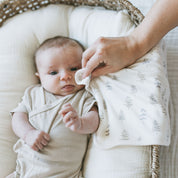 3-Pack Bamboo Washcloth-Enchanted Forest