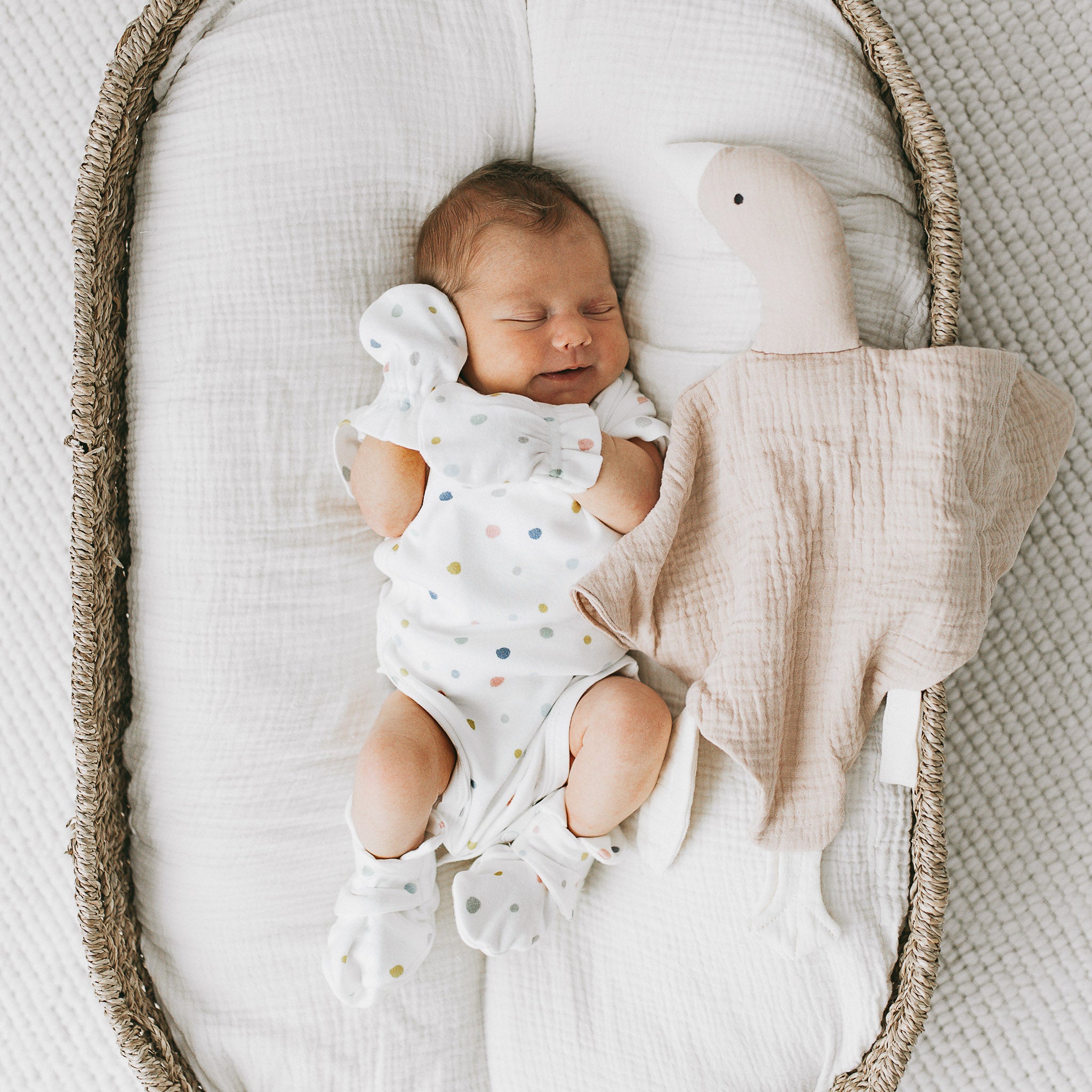 Goose Cuddly Blanket - Earth