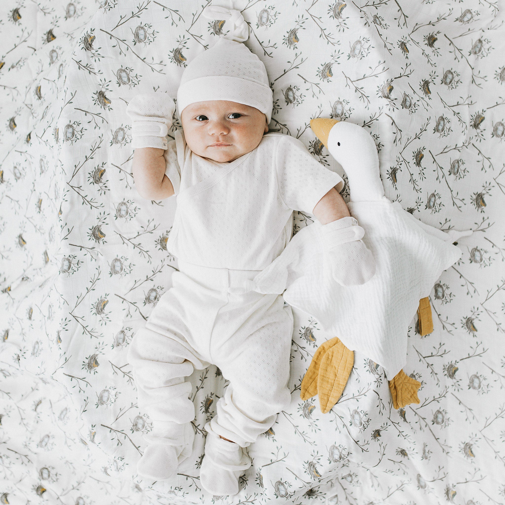 Goose Cuddly Blanket - Ivory