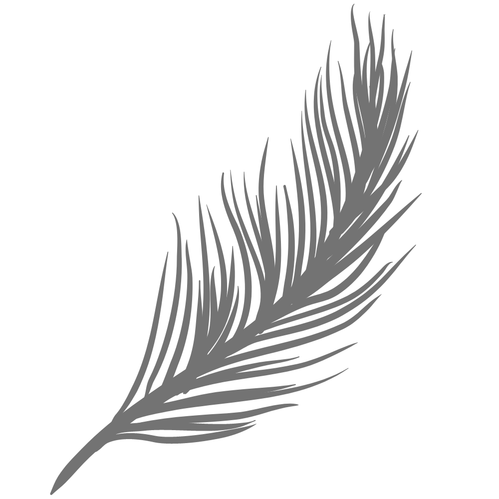 feather-icon