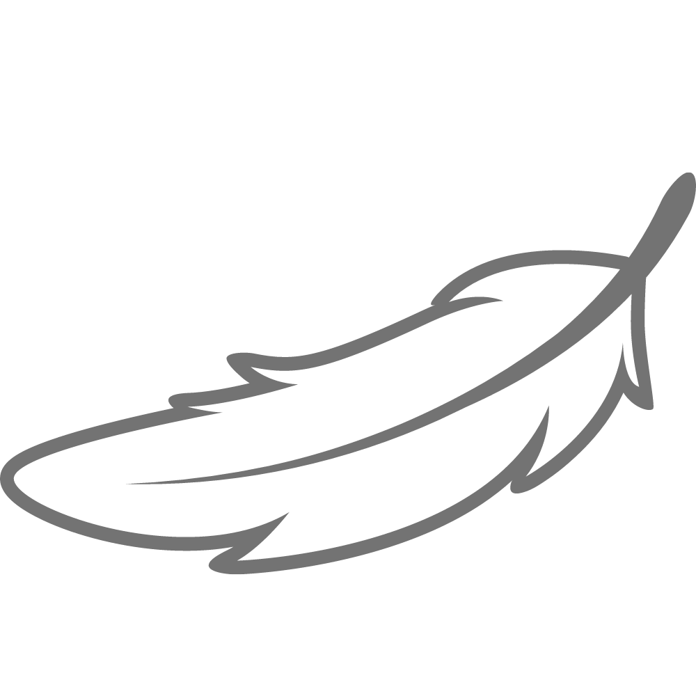 feather-soft-icon