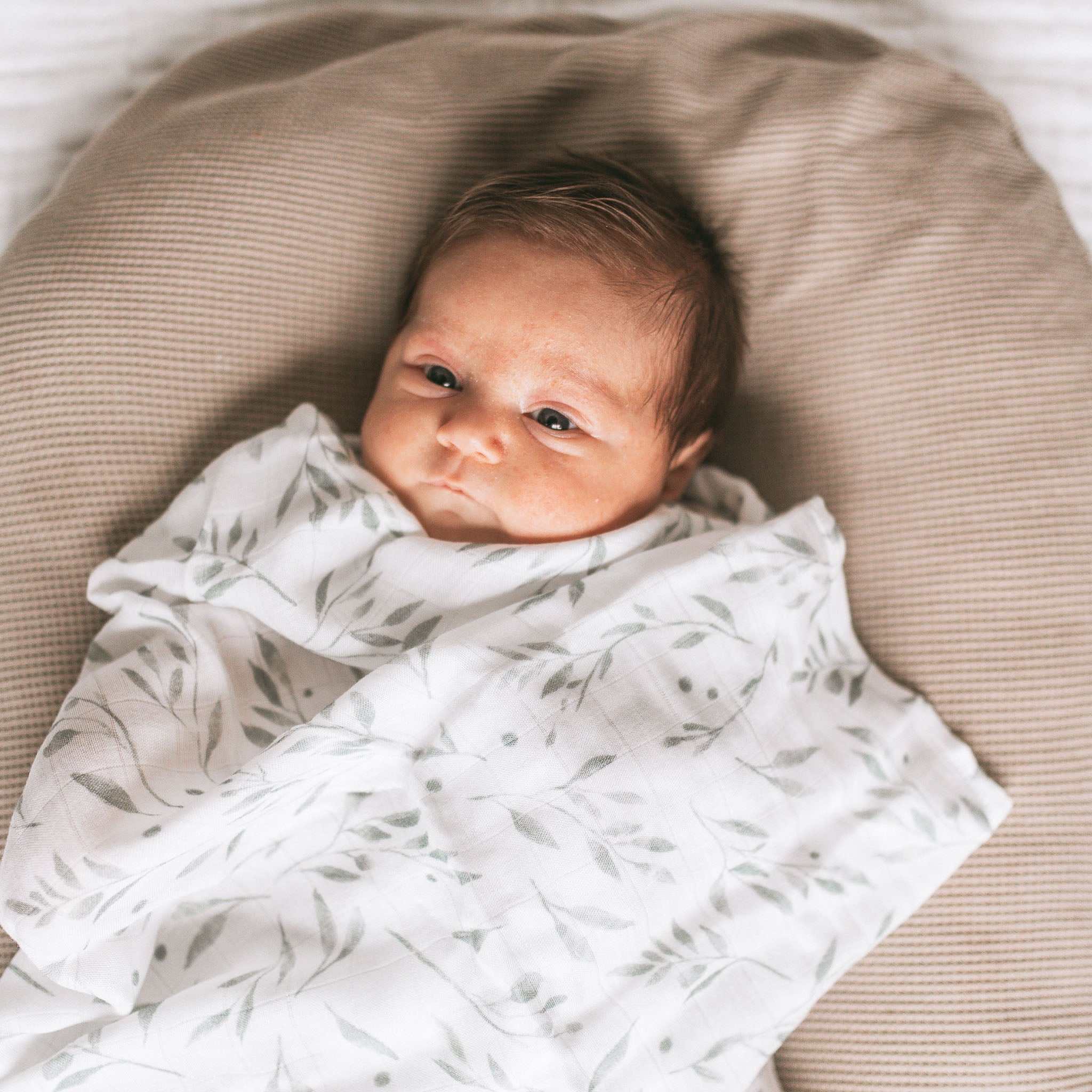 Bamboo Swaddle - Foliage